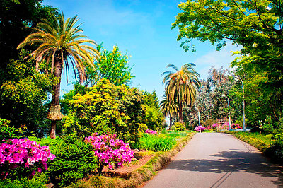 Фото достопримечательности: Ботанический сад в Батуми