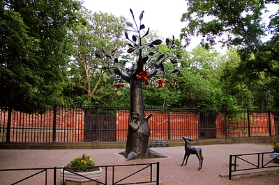 Фото достопримечательности: Дерево желаний в Кронштадте