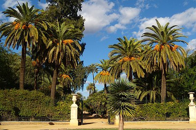 Фото достопримечательности: Сады Мурильо в Севилье