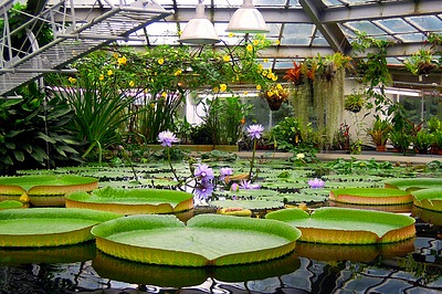 Фото достопримечательности: Ботанический сад в Ставрополе