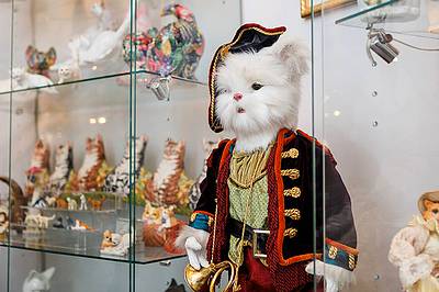 Фото достопримечательности: Музей кошек «Мурариум» в Зеленоградске