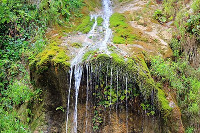 Фото достопримечательности: Водопад «Мужские слёзы» в Пицунде