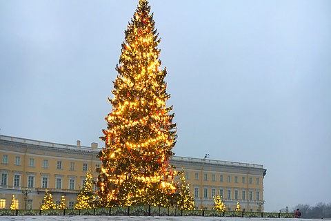 Самая нарядная Главная ёлка города: в этом году над украшением дерева отлично потрудились! Ёлка сверкает тысячей огней и днём, и ночью | Санкт-Петербург