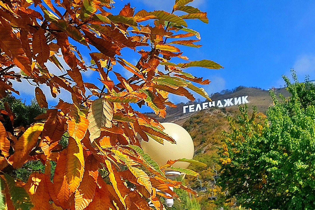 Сафари парк в Геленджике | Краснодар