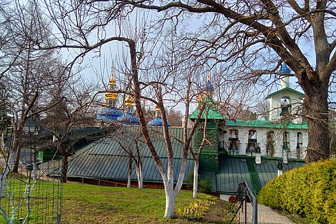 На Святой горке монастыря, где растёт дуб, которому 600 лет | Псков
